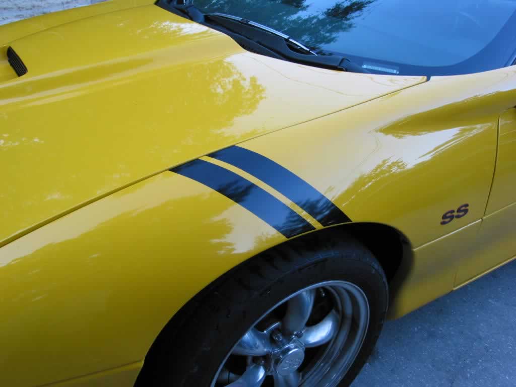 98-02 Camaro/Firebird 'Corvette Grand Sport' Style Fender Stripe